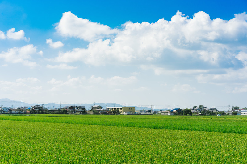 f:id:horitsukiko:20180710120803j:plain